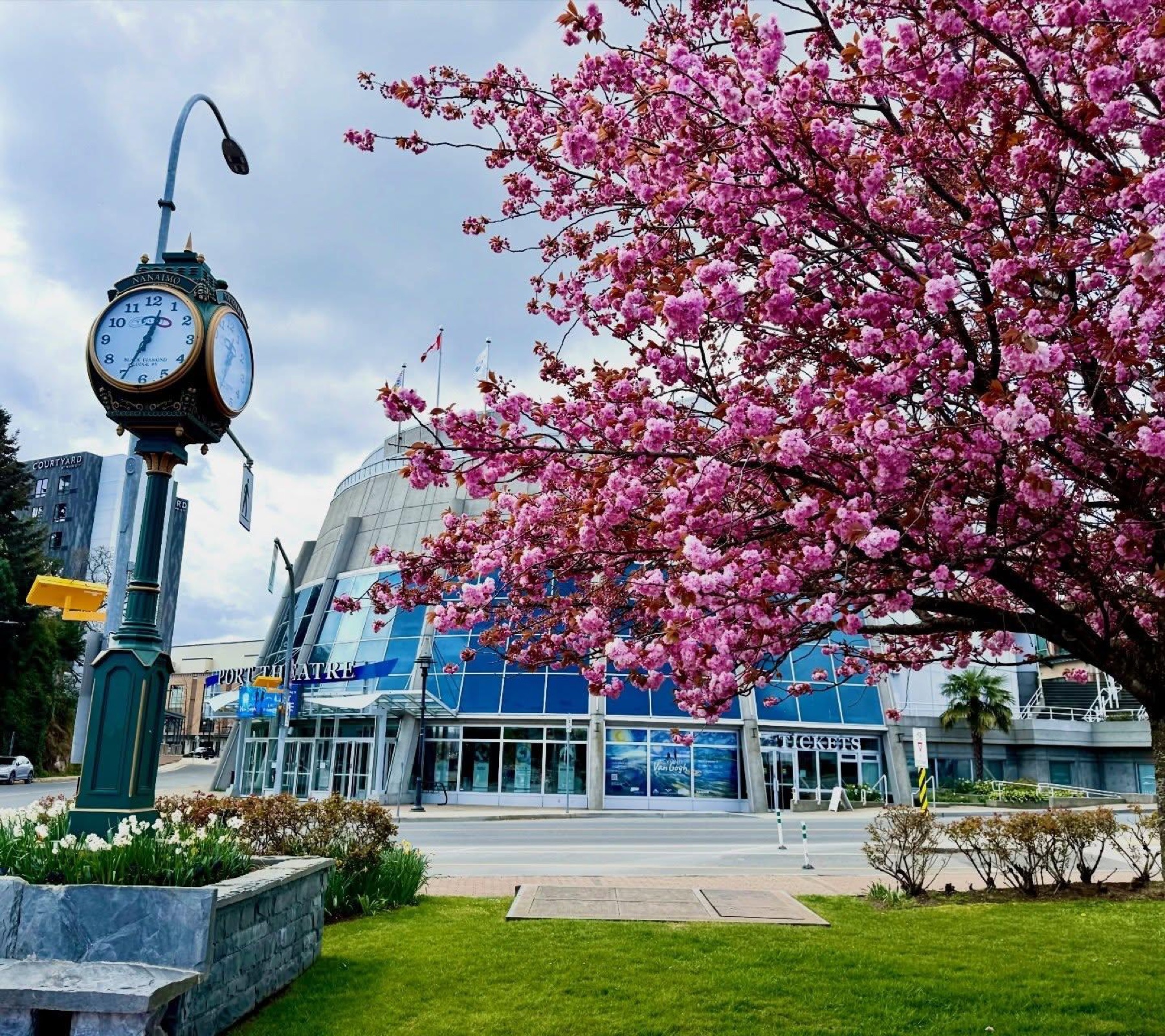 The Port Theatre in Nanaimo framed by spring blossoms.